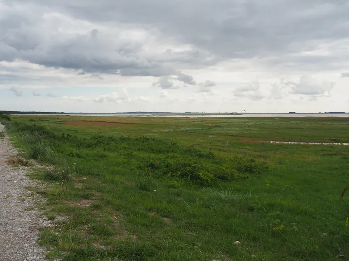 Halshuisene + Enebaerodde Beach (Denemarken)